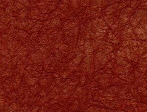 ʂˏGAY-11aǎzOaNtgӂ܎sRRfޒH46cmx46cm