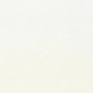 ʎ×TM-4401()aǎzOaNXӂ܎sRRfޒH97cmx5m