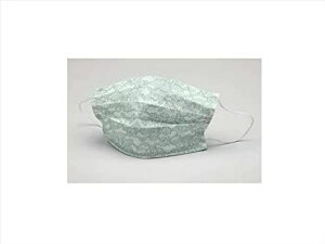 ���[�X�N�[���A�C�X�}�X�N���F10�����O���[��