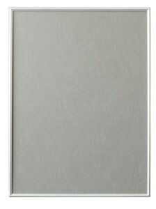 Ae|X^[t[VFCv460x620Vo[SH-P6-SV