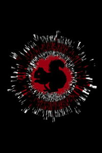 SQUIRRELEXPLOSIONEFFECT:journallined120pages6x9inchesmattefinishcovernotebookdiarygiftnobleed
