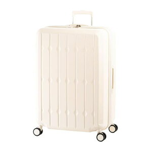 [�A�W�A�E���Q�[�W]�X�[�c�P�[�XALI-6030SD-28W-A�o�j��