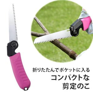 ̐܍̂y{znn110mm|Pbgɓs؂ꖡpx2iK߉\ׂɂ虒萶ԃsN37464