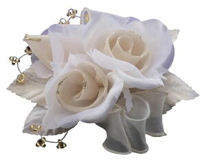 TCo`[tRT[WDS[htH[}ԓ{