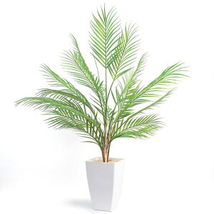 y100cmzWillingYoutFCNO[lHϗtAtFCN^MуV̖ؔtCeAGݐb炸svփItBXz[zefR[VMtgc