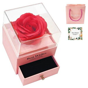 BlissPost\[vt[{bNXԃo͂ȂԃMtgrose։ԃG^[i[Y{bNXav[gV{t[KNlCޏȗFB΂񃌃fB[X蕨c