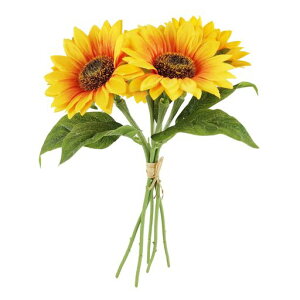 siawadekyԂЂ܂茦ԉԑ55{lHϗtAu[P͂ȂԎʐ^Beajv[g葢Ԍ|pLO