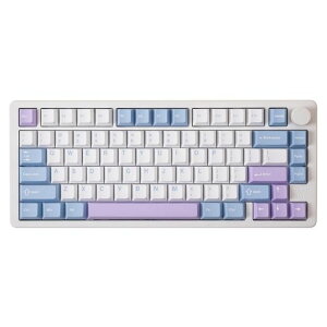 GK GAMAKAY TK75PRO 75% �A���~ ➑� �L�[�{�[�h KTT Hyacinth Switch �v���O���}�u�� �K�X�P�b�g�}�E���g 81�L�[ 2.4GHz/BT5.0/USB-C �z�b�g�X���b�v�Ή� NKRO RGB �Q�[�~���O