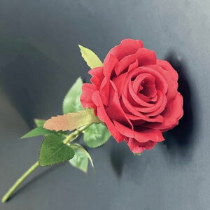 ԃo[YKN1{Zbgbhԑo^Cf[u[P̓aԌa7cmx42cmJƏjAwjAƏjAЏjAސEjAJXjȂǑlȃMtgɂc