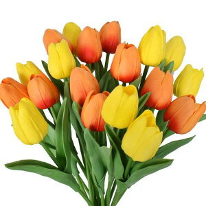 ԃ`[bv͂Ȃԃ`[bv20{Zbg2FCeAS34cmItBXXiXp[eB[Bea̓Mtg(CG[AIW)