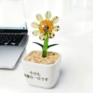 ElZKXIuWF~j`AЂ܂㑋ӃfBXvCȐlHAfR[Vˎq