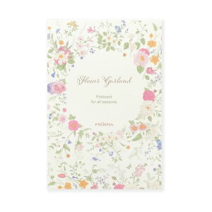 teBA͂ⳃt[K[hHGS-430