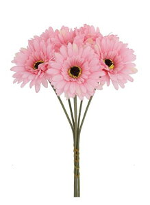 DIFEIUKIK[x6{tFCNu[PtFCNt[sN͂ȂԃVNt[lHϗtAItBX뉀iXʐ^BeahV̓搶̓蕨c