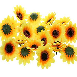 YesallwasЂ܂葢60Zbga7cmlHϗtA͂ȂԐlHԏfBXvCnhCh킢胉VN(60Zbg)