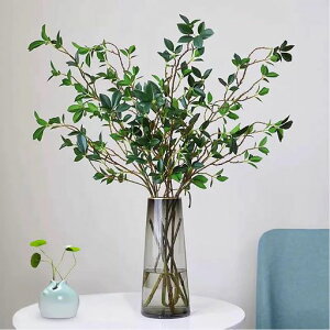 HAUZMENTtFCNO[AϗtAtFCNAAԃCeAA73cmlHϗtAA΃CeAA֏y4{z(473cm)