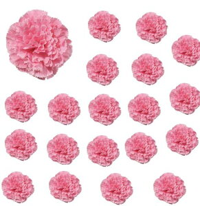 siawadekyカーネーション造花花のみ20個セット花びら人工花頭シルク花フェイクフラワー枯れない花花輪ヘアアクセサリーDIY手作業母の日ウエディングパーティー用ハンドメイドギフト飾り…