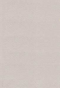 GXPgFpuJ[؃O[10027058100