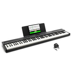 Alesis �d�q�s�A�m 88���� �t���T�C�Y���� ���S�Ҍ����s�A�m���b�X���t�� �|�[�^�u�� �X�s�[�J�[���� USB-MIDI�[�q�y��&�^�u���b�g�� �d���A�_�v�^�[ 480���F Recital Play KO