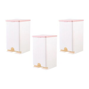 DeeRaceǊ|[{bNXpivLz_[Ȗ_eLjX^[gCoX[p3