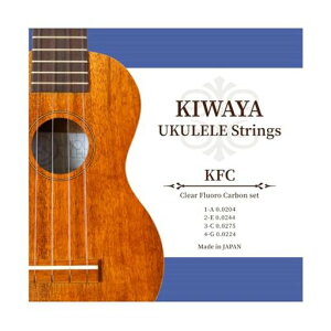 yKIWAYAzKFCtJ[{Zbg(I[TCYΉENNA)