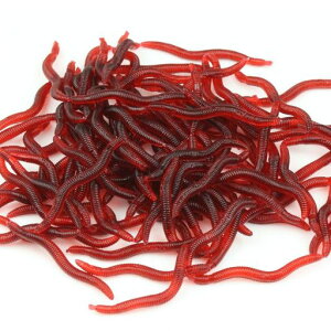 Very100Voocye50{Zbg\tg[~~Y^a\tgA[ނa~~Y`VR[