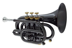 �L�������E�u���XCarolBrass�|�P�b�g�E�g�����y�b�g�yN3000GBBLACK�z�S�[���h�u���X�x���u���b�N�j�b�P���d�グ�\�t�g�o�b�O�t��