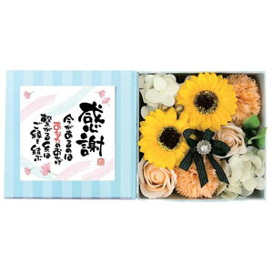 L[t(Q-FLA)\[vt[oXtOXЂ܂|G{bNXpXeIWӃbZ[WJ[hMtgv[g803260