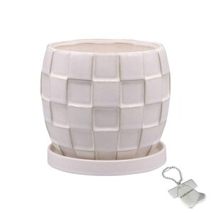 J-kitchensSelectԕrAؔ^CfUC|bgBzCg15xH13cmIWi^Ot