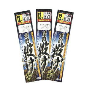 RISEWAY(CYEFC)ޓނd|12-3.1-6.0UNA001