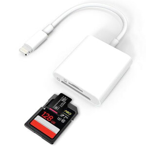 yMFiF؁ziphonesdJ[h[_[2in1J[_[of[^]ʐ^/rfI]vOAhvCiPhone/iPad/iOS16ɑΉ