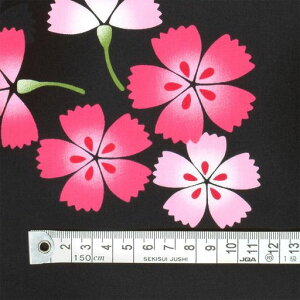 COLORFULTEXTILEMARKETnza߉ԕaqE110cmx200cmD0040220