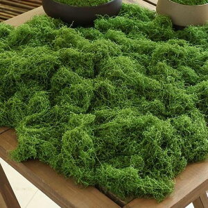 siawadekyフェイクモス人工グリーン植物200g大量苔フェイクグリーン耐久性枯れない工芸品水族館パティオ砂場モデル建築模型庭園鉢植え結婚式家室内屋外DIYモデル装飾用
