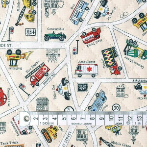 COLORFULTEXTILEMARKETX䂭N}̃hCu}bvLeBOn110cmx100cmD0199710