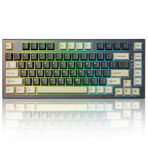 YUNZII RT80 82�L�[ ���s�b�h�g���K�[ �L�[�{�[�h �z�[���G�t�F�N�g ���C�����X ���J�j�J���L�[�{�[�h Bluetooth/2.4GHz/�L�� �Q�[�~���O ���C�X�C�b�` RGB �g���C�}�E���g �z�b�g�X���b�v �J�X�^�c