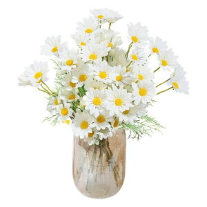 Bacucinef[W[12Zbgeԃu[PlHf[W[tFCNfCW[ԑlHԃqiMNlHϗtAeu[Pz[Ԃ݂DIYʐ^Be蕨jac