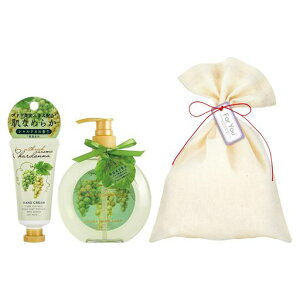 VhlԂǂnhPAZbgbsOobO(MtgσnhN[Enh\[ve1)