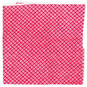 INAZUMA߂񕿕Ȃ23cmx33cm̎q120-2|EnhChpi