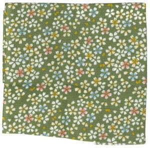 INAZUMA߂񕿕23cmx33cm1M101-3G|EnhChpi