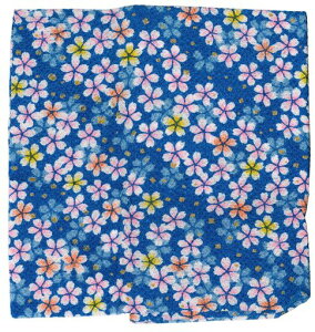 INAZUMA߂񕿕23cmx33cm炠1K5874G|EnhChpi