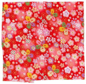 INAZUMA߂񕿕23cmx33cm~1C148-AG|EnhChpi