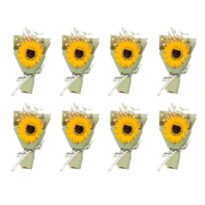 Ђ܂葢8{Zbgփq}ԑ\[vt[ΌԌ͂Ȃԑʕv`Mtg}`bNTvCYԏo^Cf[̓hV̓aސEMtgEGfc