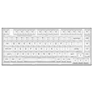 YUNZII X75 PRO 82�L�[���C�����X �z�b�g�X���b�v�Ή� �p��z�� ���J�j�J���Q�[�~���O�L�[�{�[�h �����L�[�L���b�v BT5.0/2.4G/USB-C �K�X�P�b�g�����L�[�{�[�h Windows/Mac�p �Z�K�F�؎擾