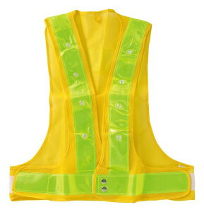 iCg[_[LEDSxXgNL-005x