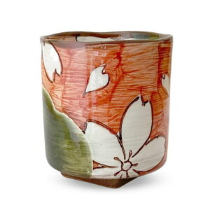 J-kitchensp䓒ۂ݃bhDgčH[sho~{