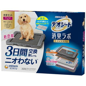 y3ԌłjIȂzfIV[gL{{̃Zbg[2TԕtB^[E}bgt]pgC{̃Ch