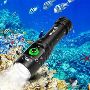 WINDFIRE TS08 �_�C�r���O���C�g�A 5000���[���� �i�C�g�_�C�r���O�A�O�_�����[�h �A�������C�g�A����65M�܂Ŏg�p�\�AIPX8���͖h�� �_�C�u�g�[�`�A�d�͗ʕ\���A�������p�����d���A���˂� �c