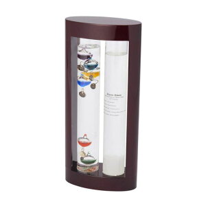 iJJYƉxv&Xg[OXV_[(I[o)333-279ut@TCGX(FunScience)v28(h)x12.5x6cm