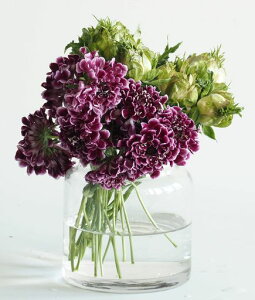FOYERԕrt[x[XKXꍂ10cm9cm2600056