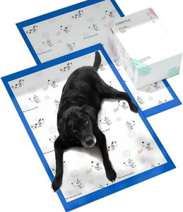 IDOLYFANybgV[cpLp45x60cm405whRzLgCg[jO^E^/nX^[Ή//sp