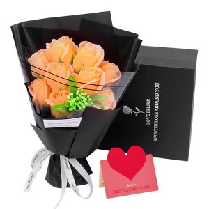 BlissPost\[vt[ԑKNu[P̂܂܏aMtgV{t[ԑސEv[glCƎʕiʉLOi̓̓җv|[YVzÊJXjc